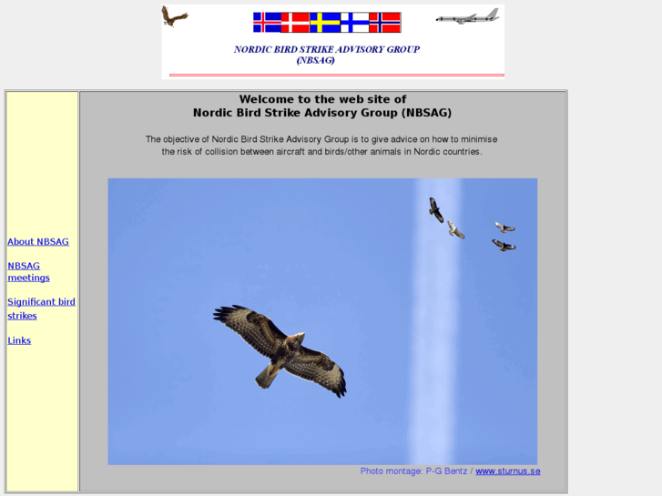 www.nordicbirdstrike.com