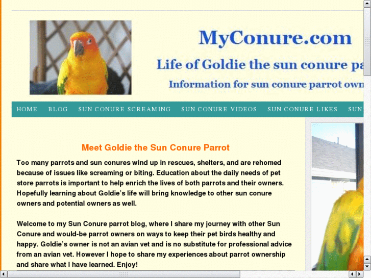 www.sunconure.net