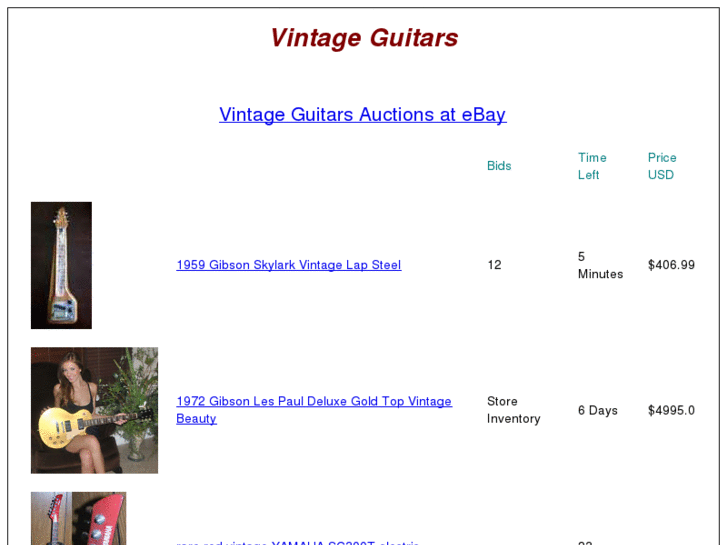 www.vintageguitars.biz