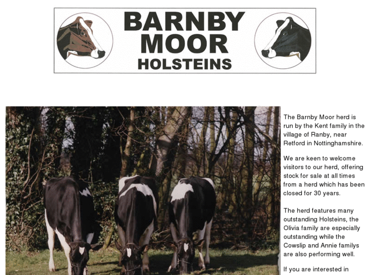 www.barnbymoorholsteins.com