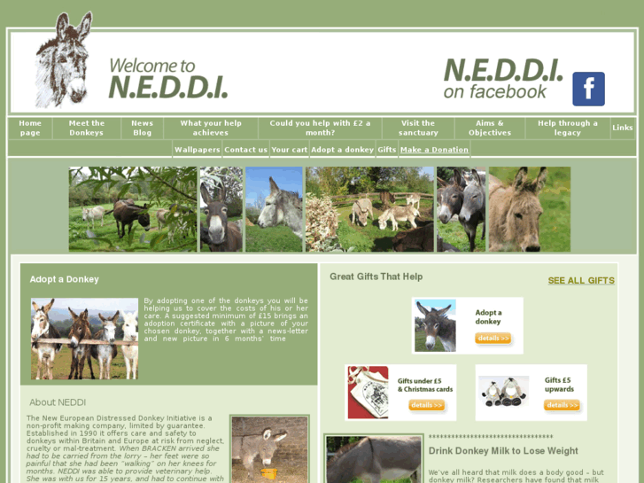 www.neddi.org