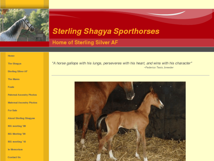 www.sterlingshagyas.com