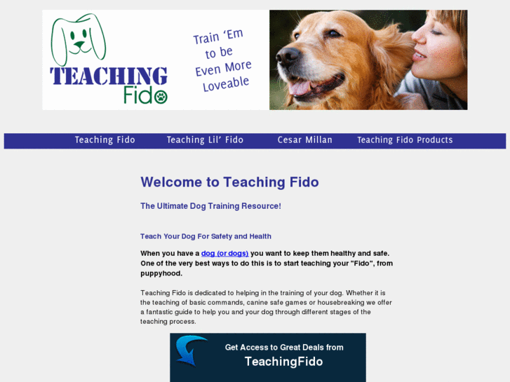 www.teachingfido.com