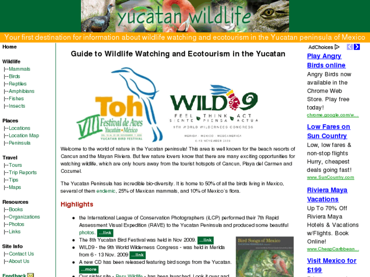 www.yucatanwildlife.com