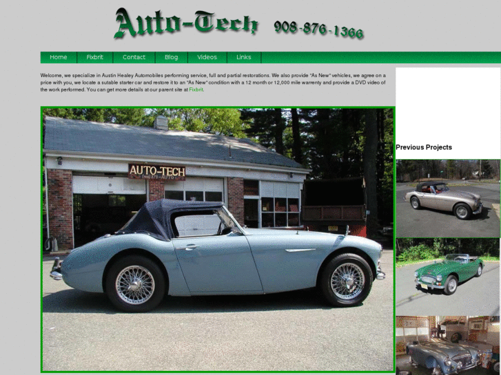 www.austinhealey3000.net