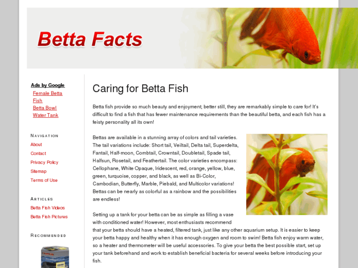 www.bettafacts.com