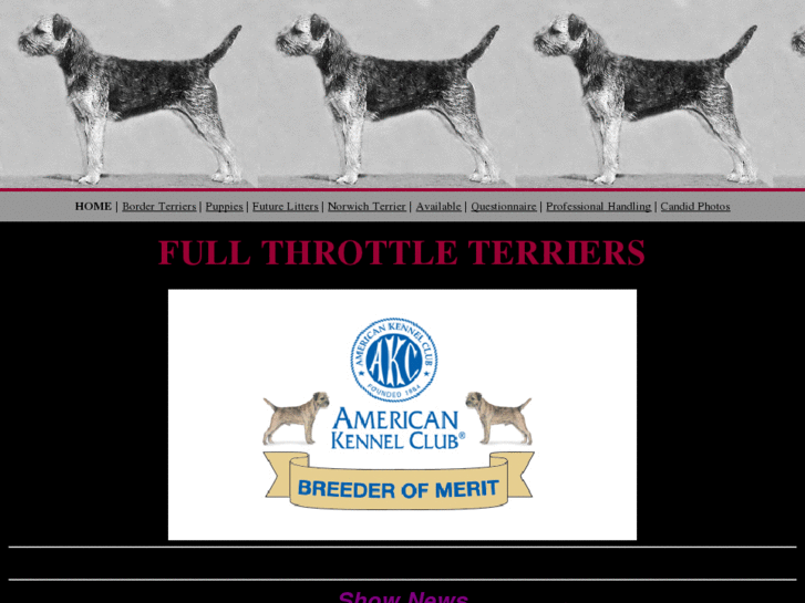 www.fullthrottleterriers.com