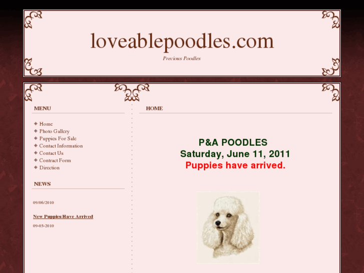 www.loveablepoodles.com