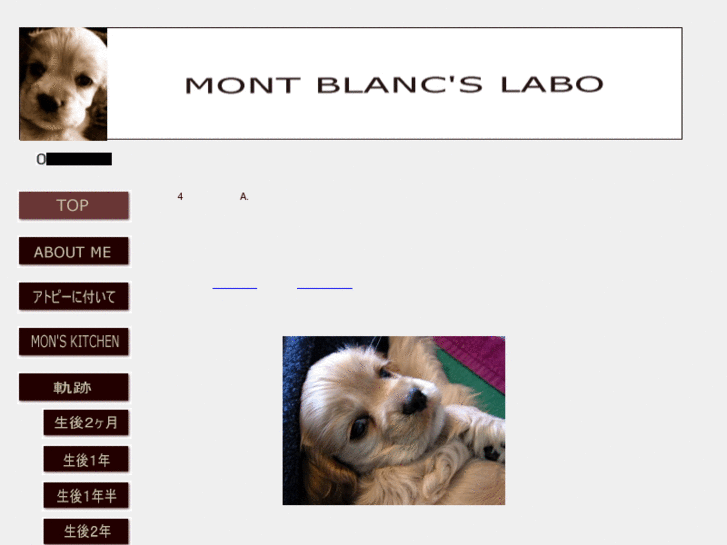 www.montblanc-lab.com