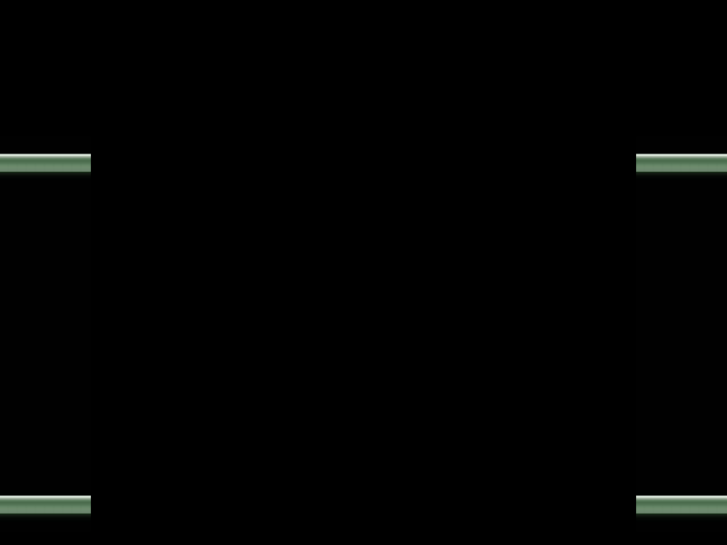 www.netideas4u.net