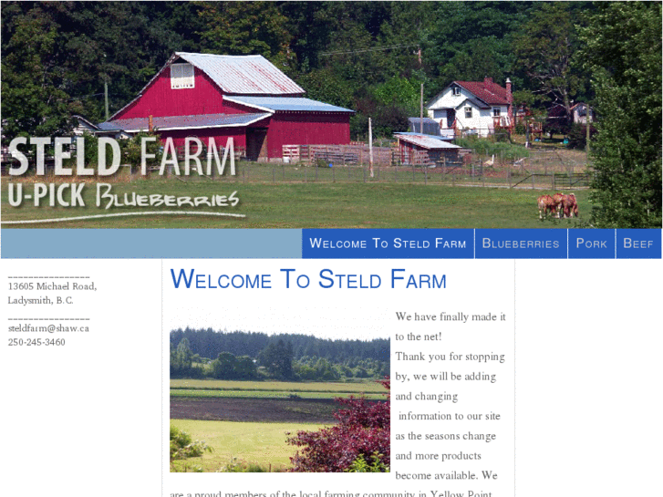 www.steldblueberryfarm.com