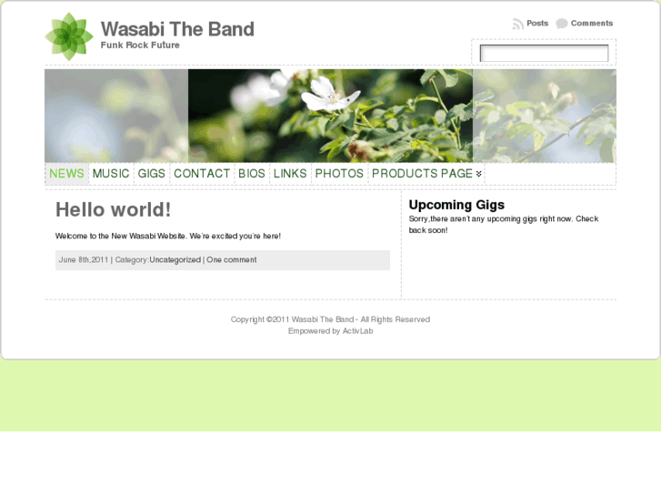 www.wasabitheband.com