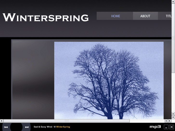 www.winterspringalbum.com