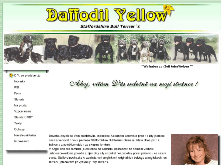 www.daffodilyellow.com