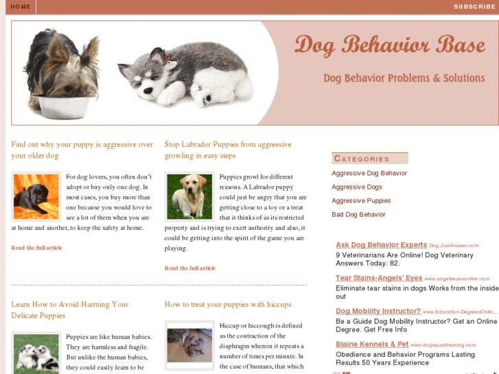 www.dogbehaviorbase.com