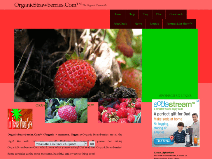 www.organicstrawberries.com