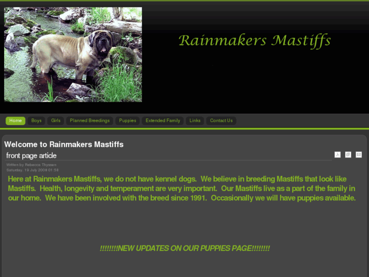 www.rainmakersmastiffs.com