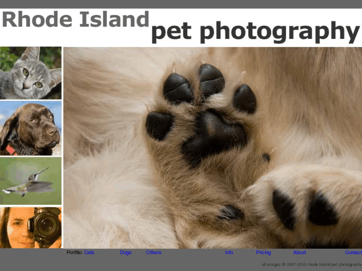 www.rhodeislandpetphotography.com