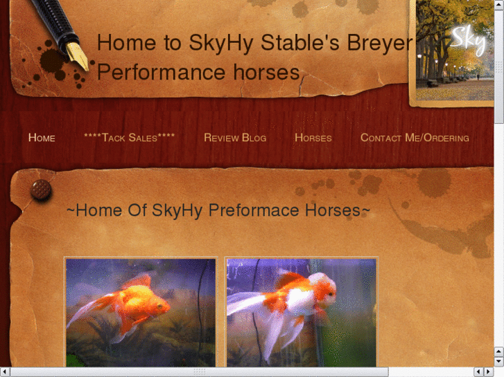 www.skyhystables.com