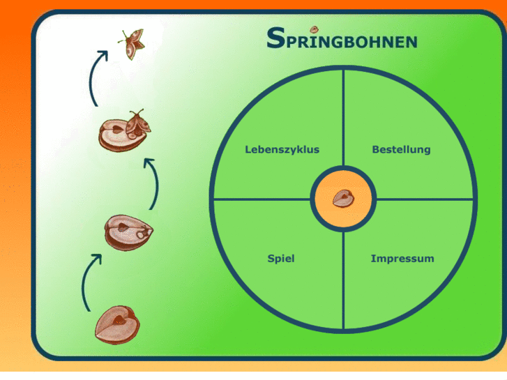 www.springbohnen.com