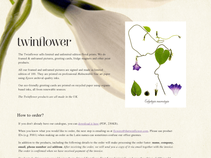 www.thetwinflower.com