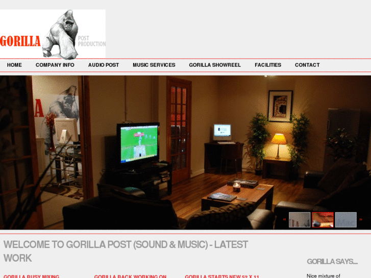 www.gorillapost.ie