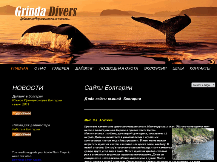 www.grinda-divers.com