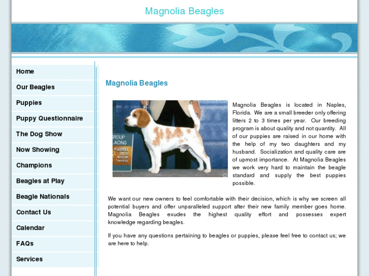 www.magnoliabeagles.com