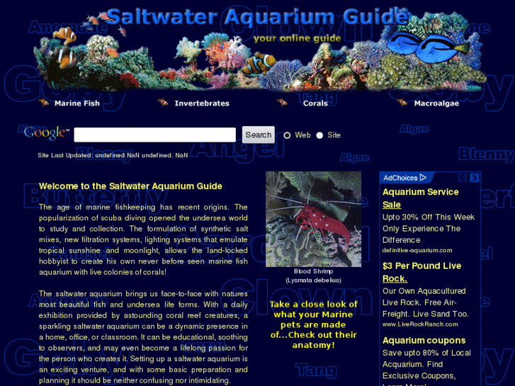 www.saltwater-aquarium-guide.com