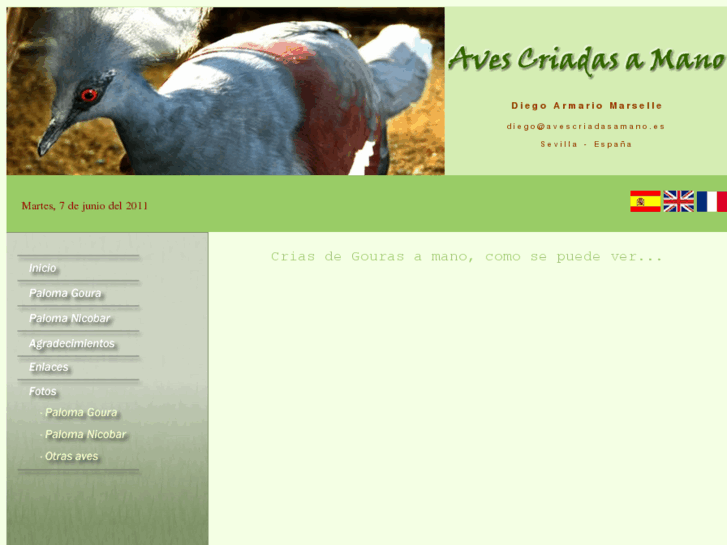 www.avescriadasamano.es