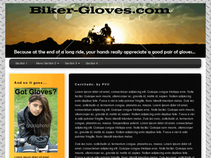 www.biker-gloves.com