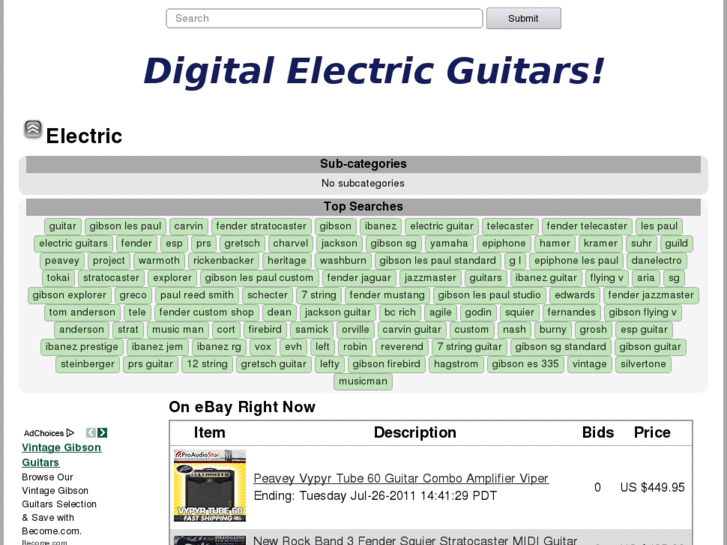 www.digitalelectricguitar.com