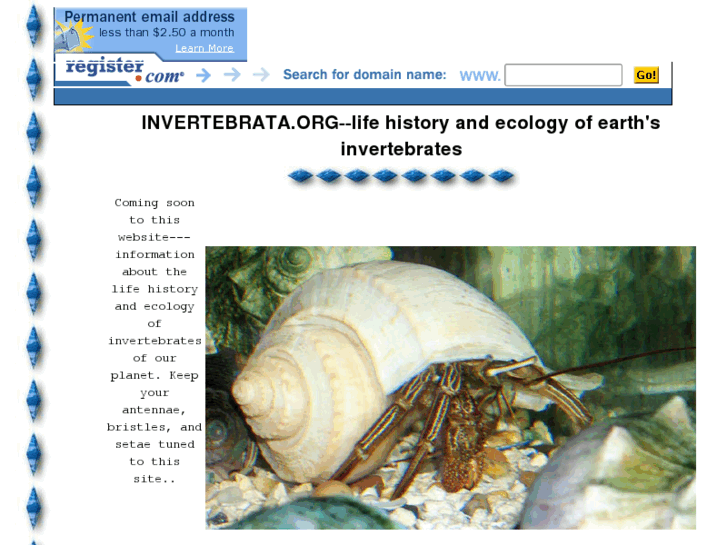 www.invertebrata.org