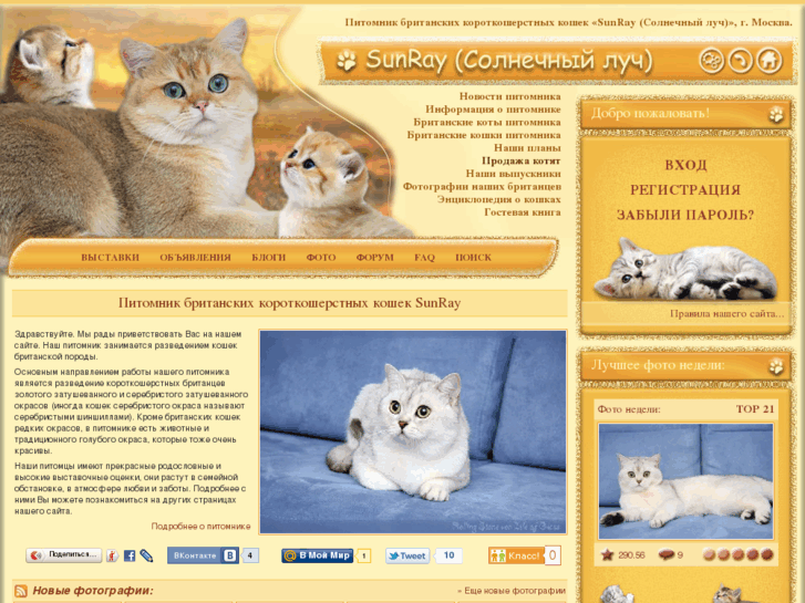 www.sunny-cat.ru