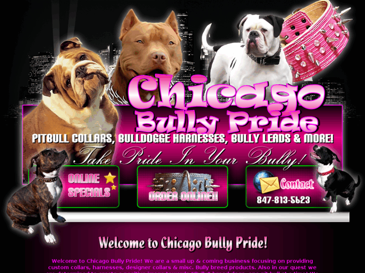 www.chicagobullypride.info