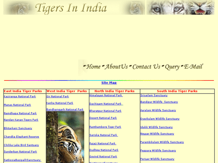 www.tigersinindia.com