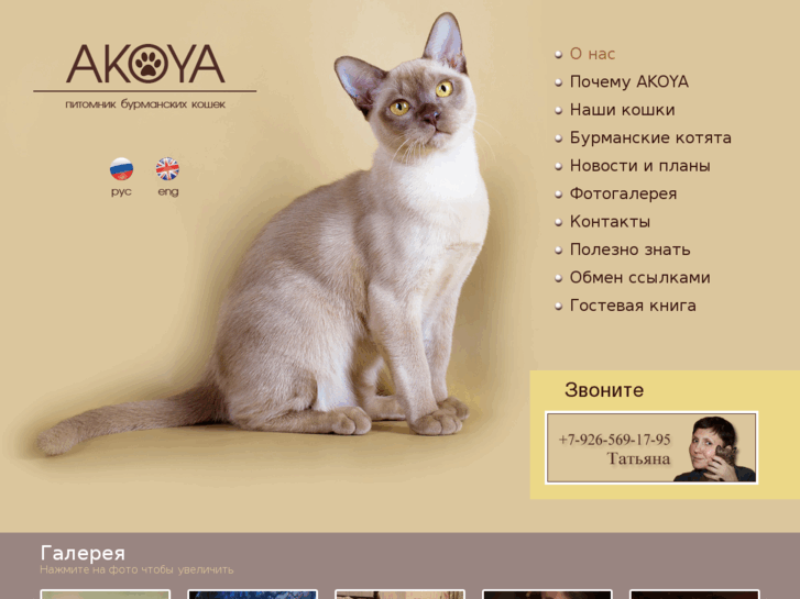 www.akoya-cattery.ru