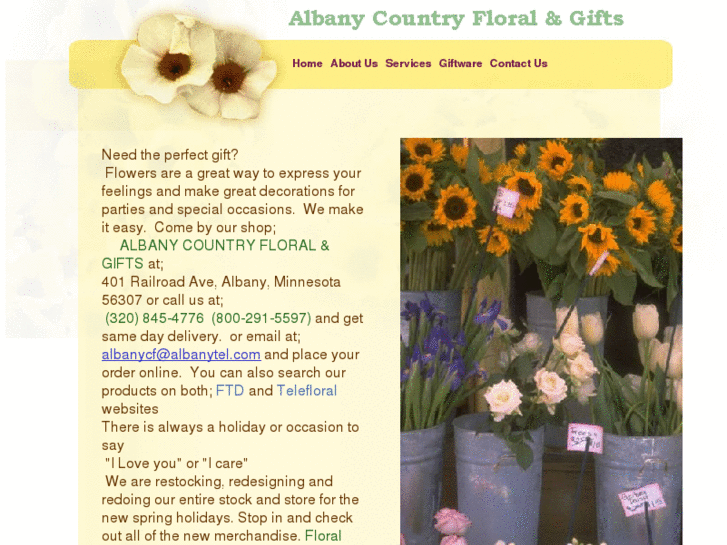 www.albanycf.com