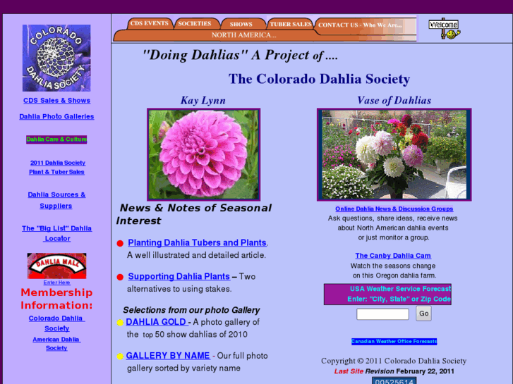 www.dahlias.net