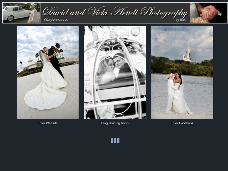 www.davidandvickiarndtphoto.com