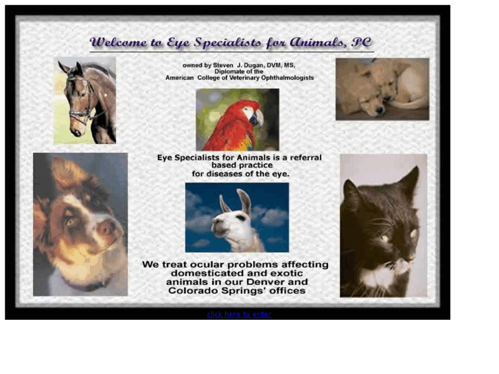 www.eyespecialistsforanimals.com