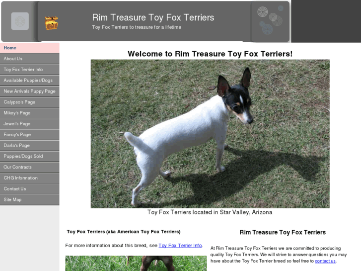 www.treasuretoyfoxterriers.com