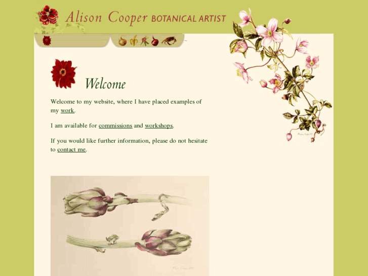 www.alisoncooper.co.uk