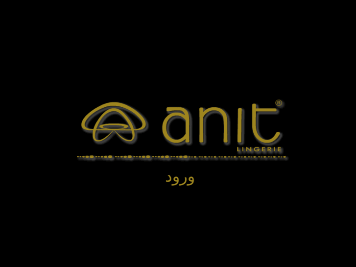 www.anit-co.com