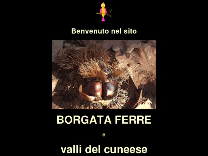 www.borgataferre.com