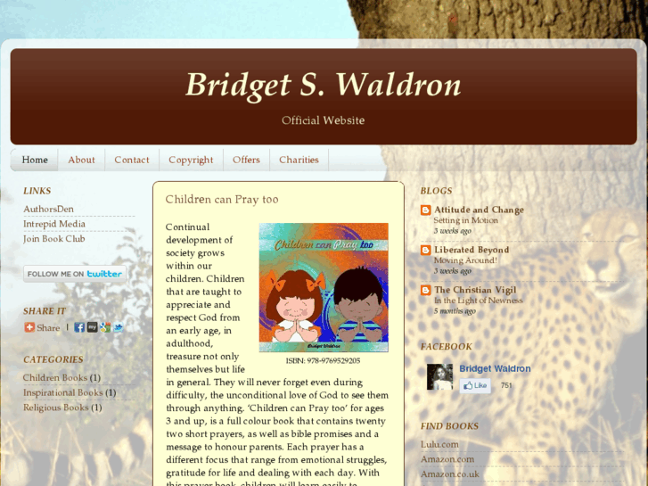 www.bridgetwaldron.com