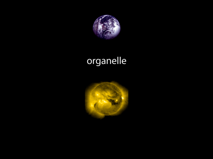 www.organelle.org