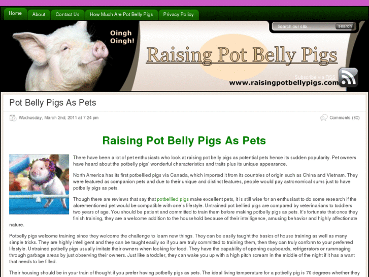 www.raisingpotbellypigs.com