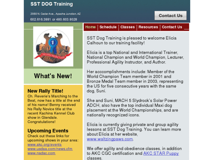 www.sstdogtraining.com