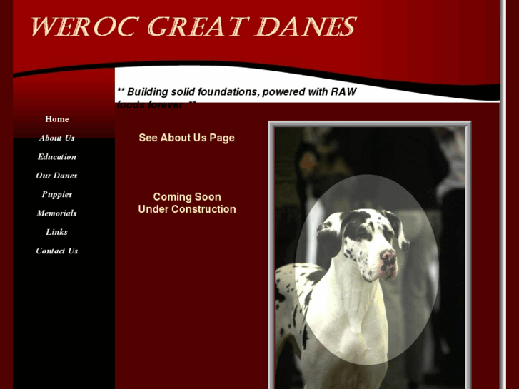 www.werocgreatdanes.com